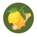 La Galette Citron Gingembre