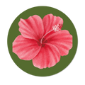 La Galette Hibiscus