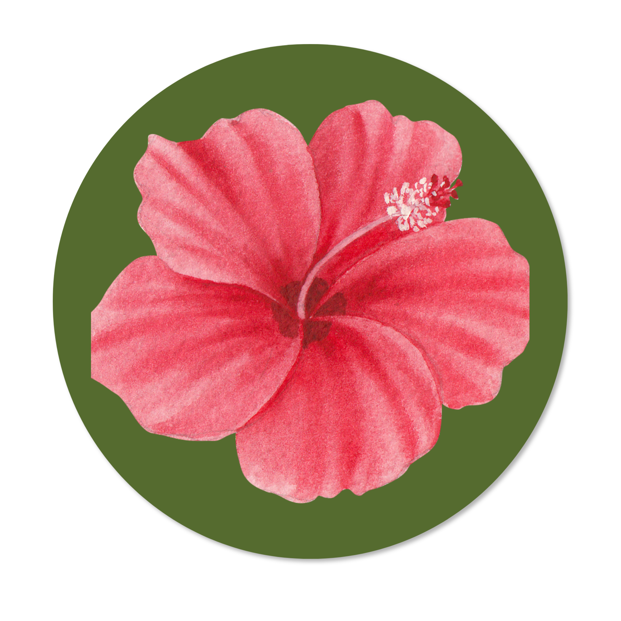 La Galette Hibiscus