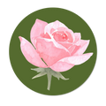 La Galette Rose